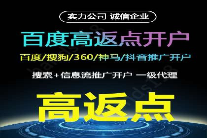 百度竞价公司案例分析：提升转化率的策略